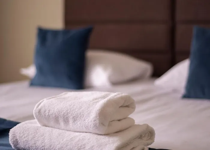 Forest * Познань