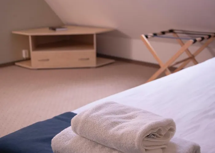 Forest * Познань