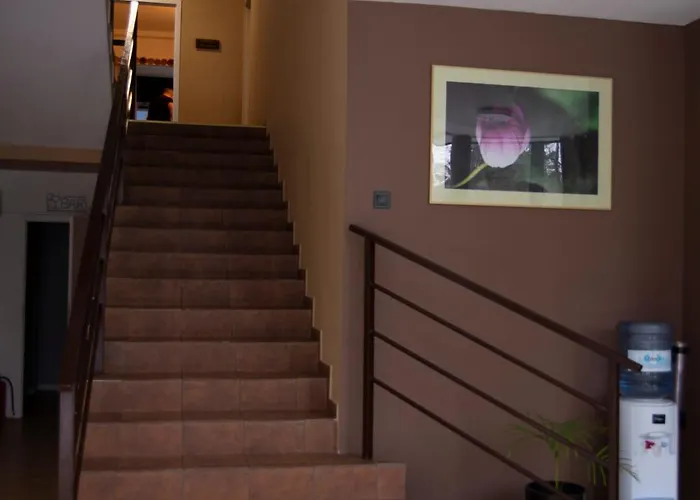 Готель Forest *